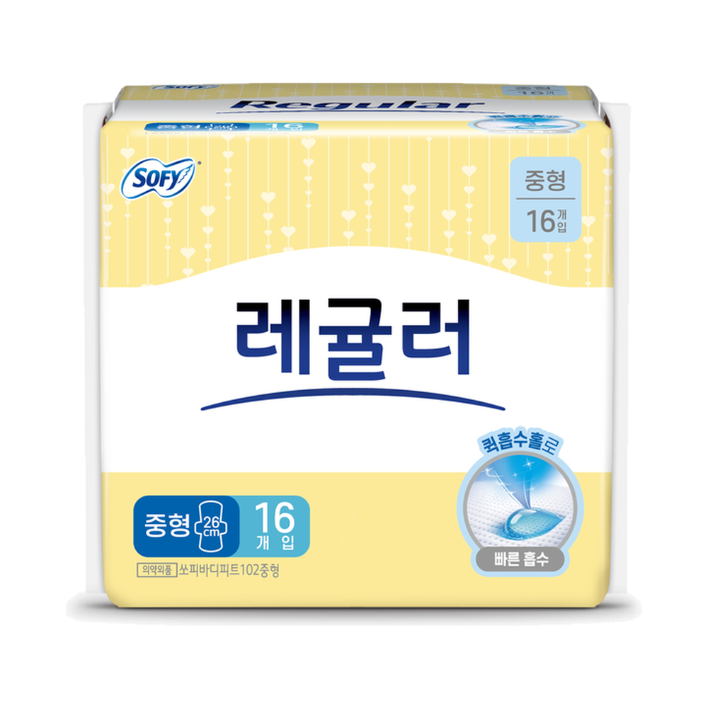 바디피트 레귤러